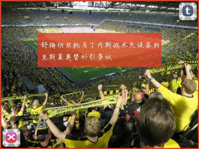 舒梅切尔批马丁内斯战术失误菲利克斯莱奥替补引争议